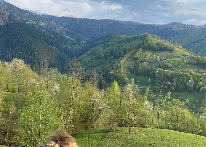 будинок під менчулом 别墅